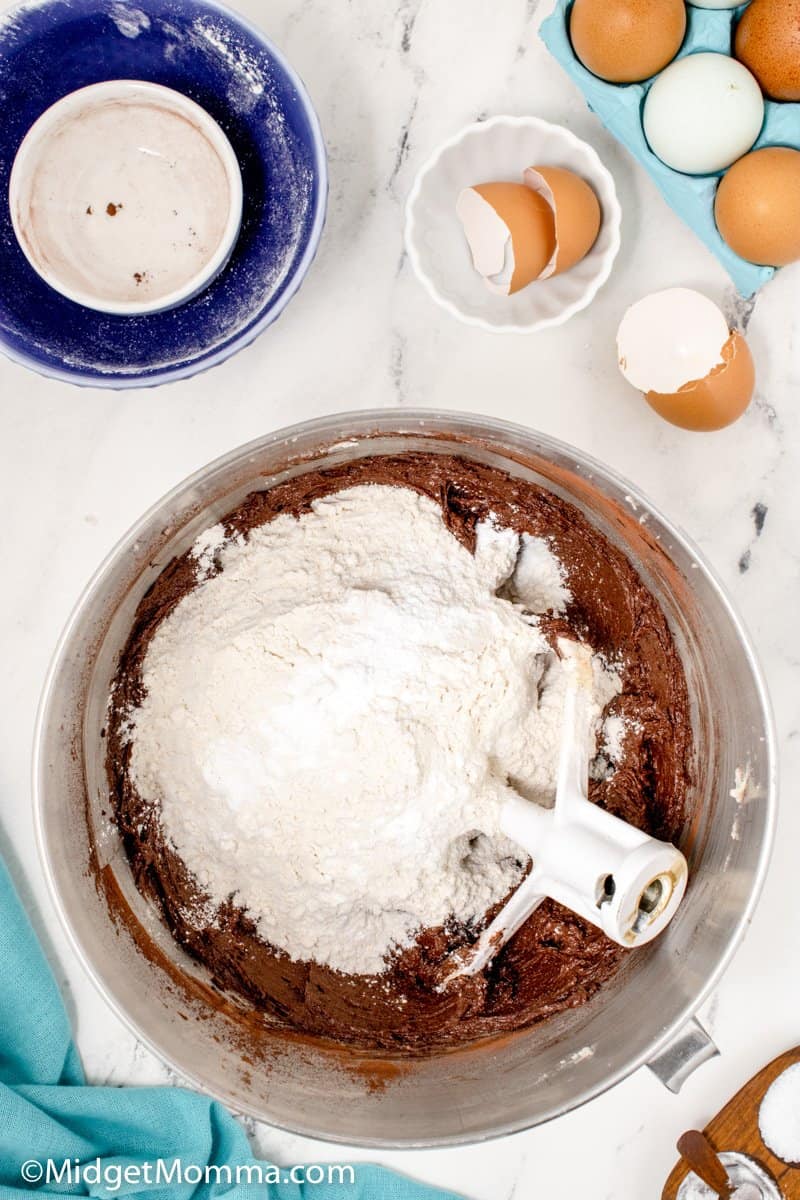 flour, salt, and baking powder added to the butter, cocoa powder, eggs and sugar