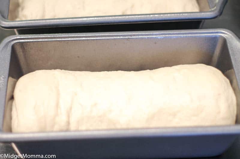 bread dough rising in baking pans