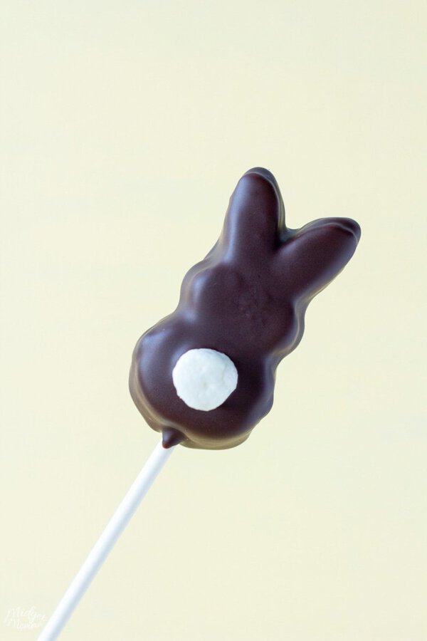 Chocolate Covered Peeps