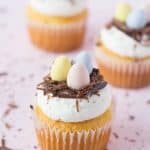 Chocolate Nest Cupcakes