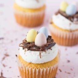 Chocolate Nest Cupcakes