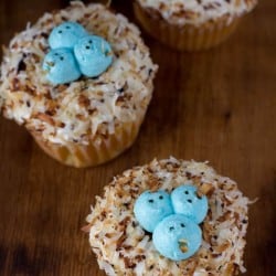 baby bird cupcakes