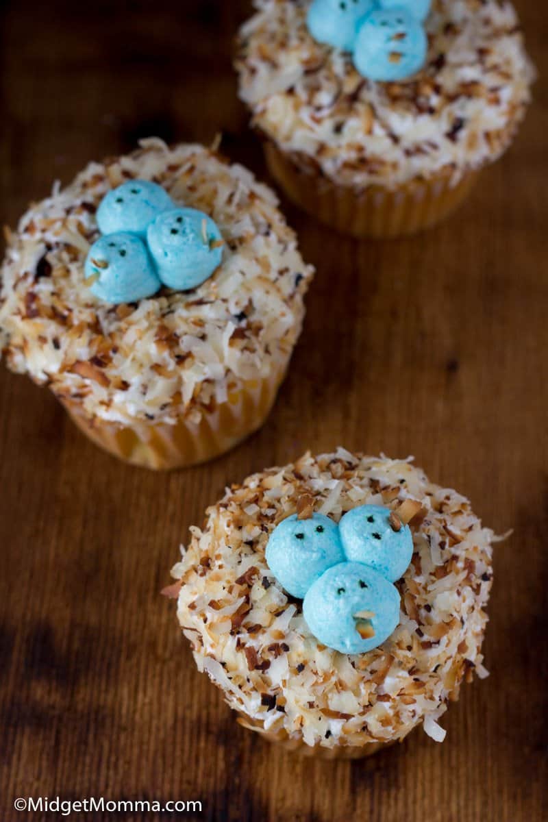 baby bird cupcakes