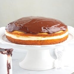 Boston Cream Pie