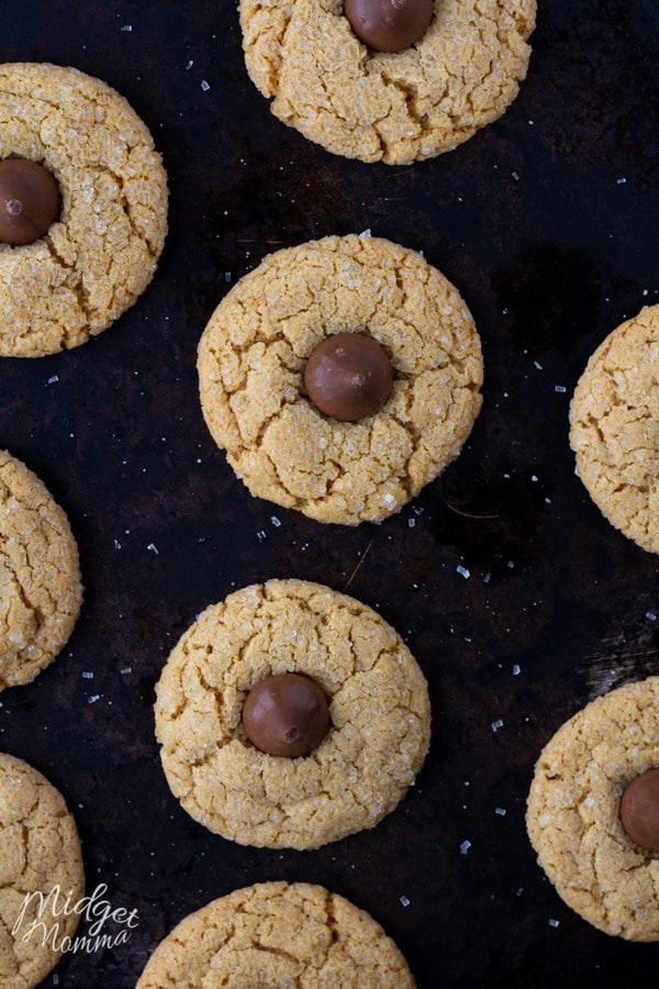 Peanut Butter Blossom Cookies