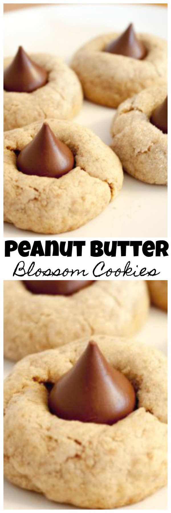 Peanut Butter Blossom Cookies With Cake Mix Peanut Butter Blossom Cookies With Cake Mix