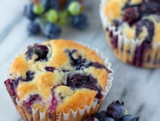 blueberry muffins with fresh blueberries