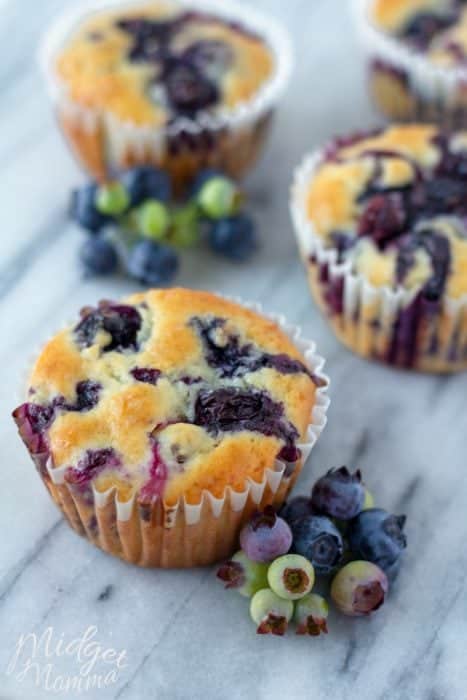 blueberry muffins with fresh blueberries