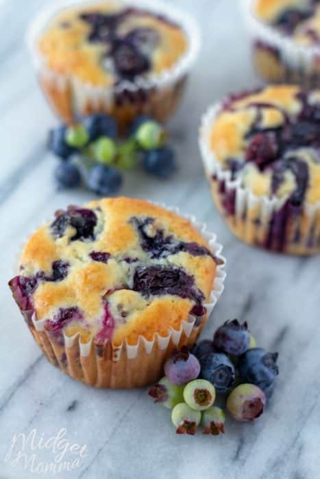 blueberry muffins with fresh blueberries
