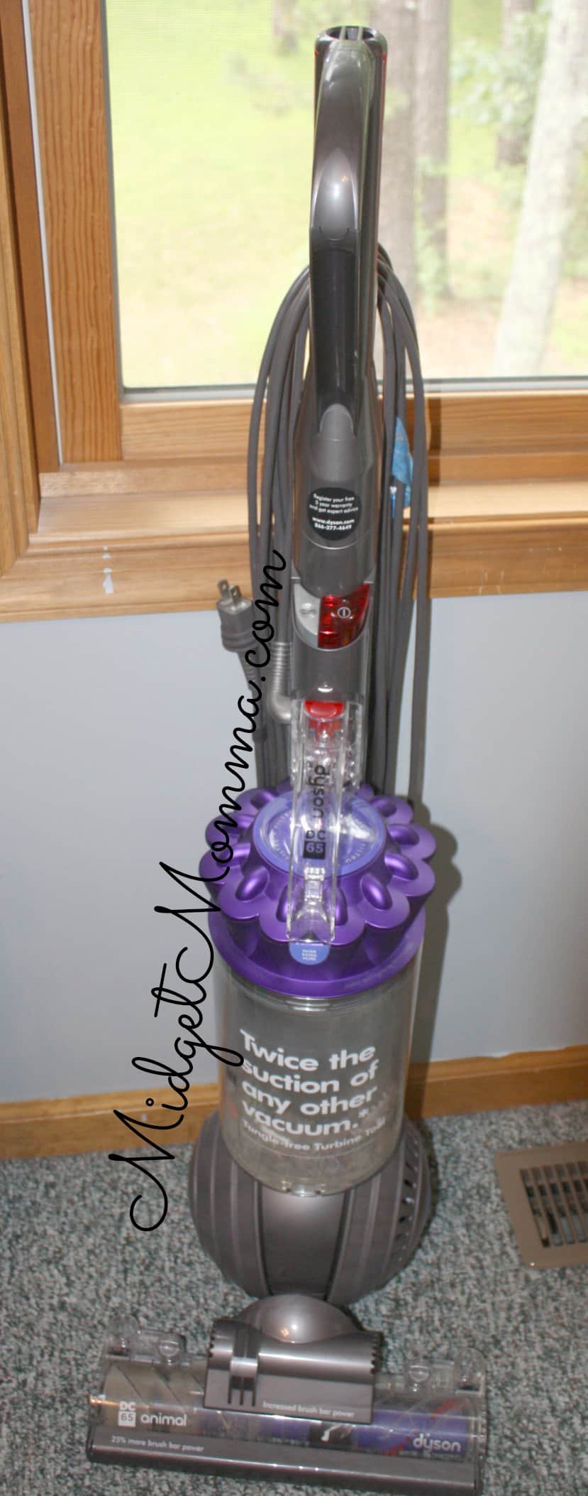 dyson ball animal dc65