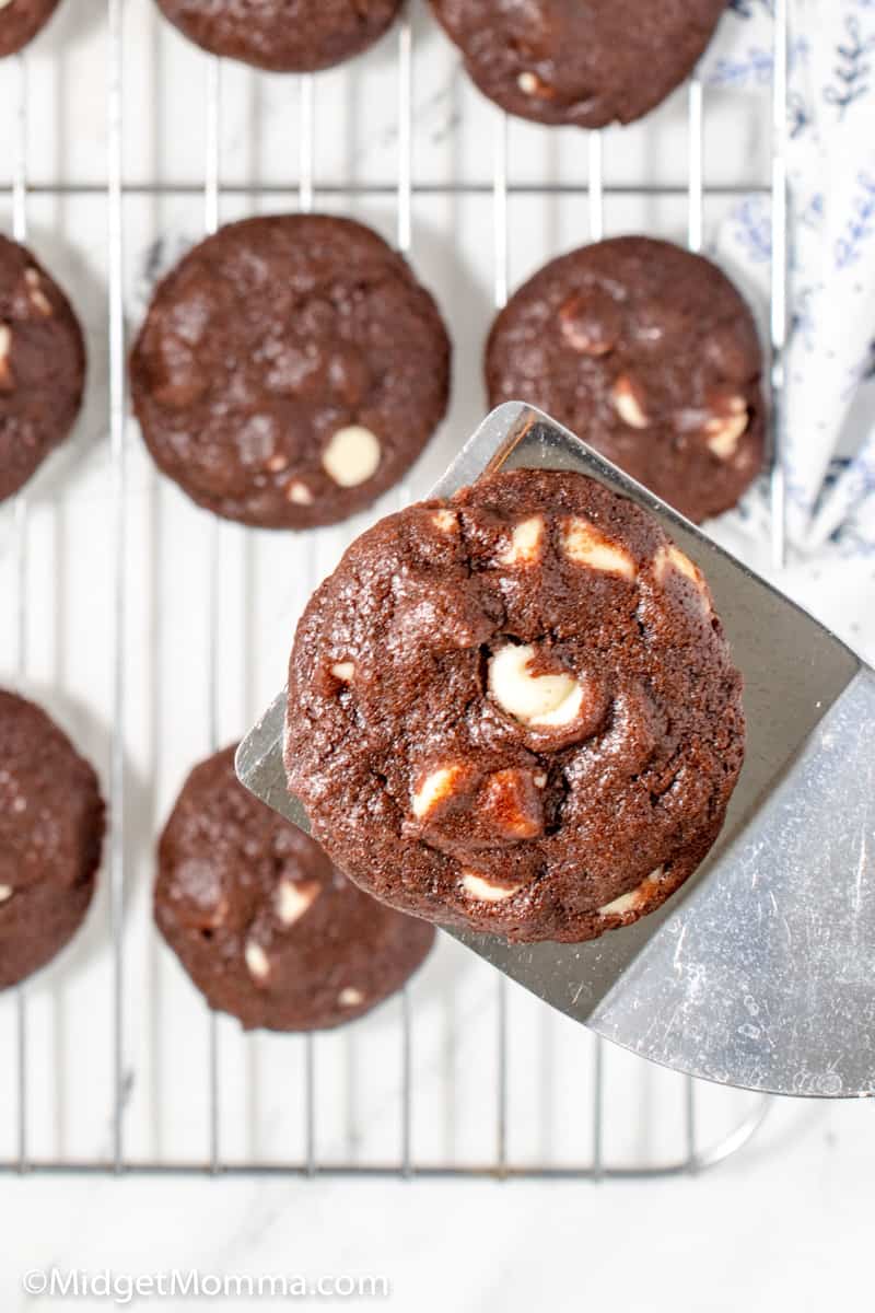 Chocolate cookie sandwiches