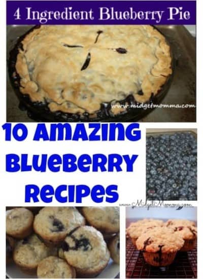 If you love blueberries than you are going to love this collection of Blueberry recipes! They contain everything from pies to muffins.