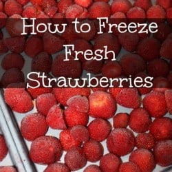 Freezing Strawberries is easy and it locks in the freshness of the berries from the day we picked them. Plus it saves a ton on our budget.