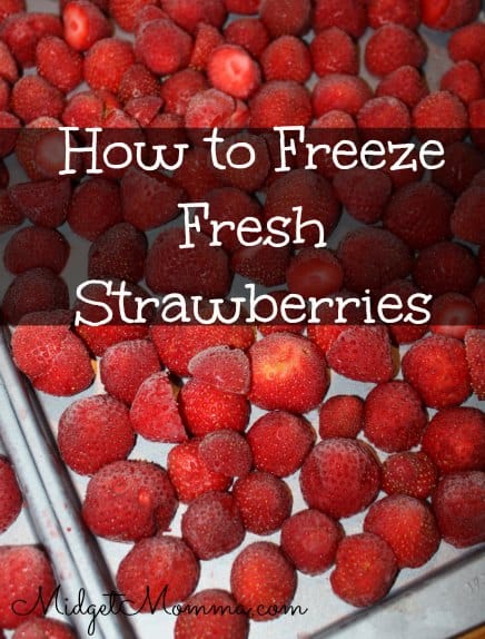 Freezing Strawberries is easy and it locks in the freshness of the berries from the day we picked them. Plus it saves a ton on our budget.