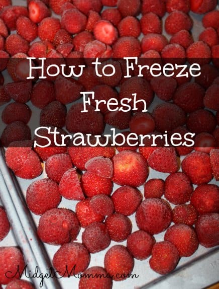 Freezing Strawberries is easy and it locks in the freshness of the berries from the day we picked them. Plus it saves a ton on our budget.
