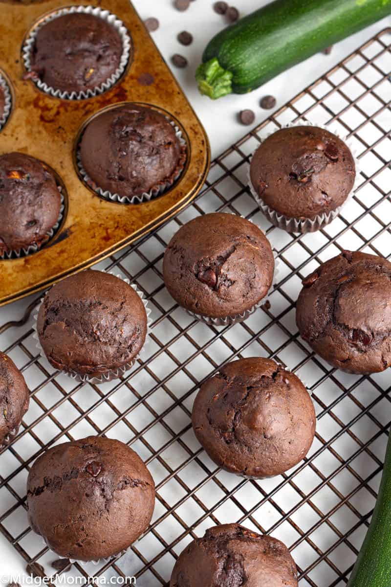 Chocolate Zucchini Muffins