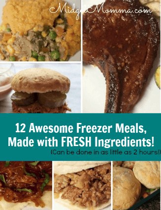With this set of Freezer meals you will be able to make 12 healthy meals to have in your freezer in under 4 hours and all of them are from scratch.