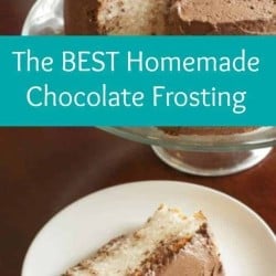 This is the BEST Chocolate Frosting EVER! ONLY 4 ingredients and SUPER Easy to make! This Chocolate Frosting will be your new go to recipe!