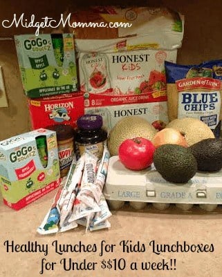 Healthy Lunch box Meals with Organic items for under $10 a week. They are so tasty your kids will not even know they are good for them.