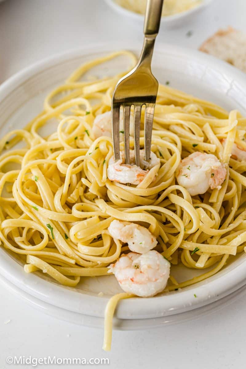 Shrimp Pasta Recipe