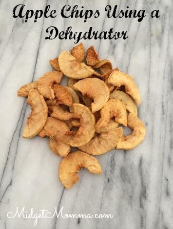 Make Apple Chips Using a Dehydrator is easy to do and a great healthy snack. Kids will love these crunch but sweet snack so try them today.