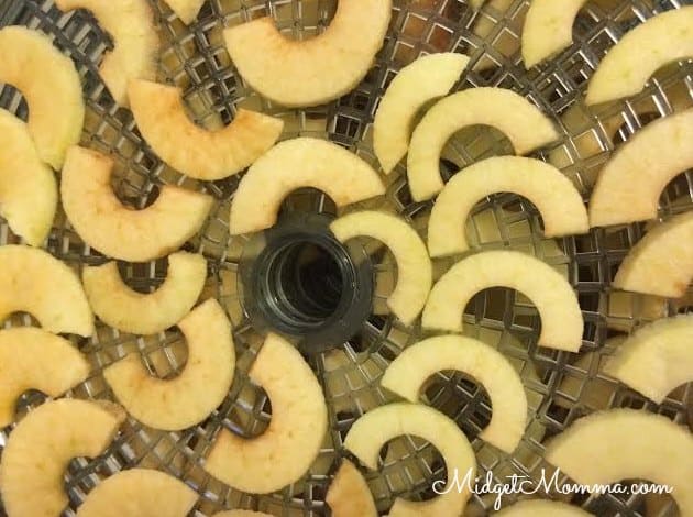 dehydrate apples