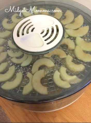how to dehydrate apples