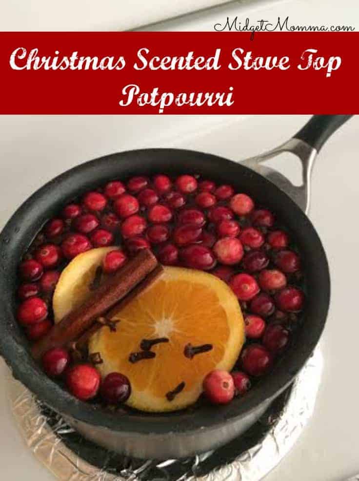 Grab our recipe for easy Christmas Scented Stove Top Potpourri!  This is a great way to make your whole home smell amazing for the holiday season!