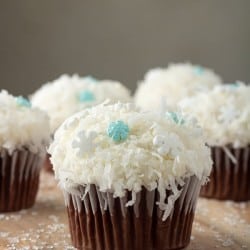 Frozen snowball cupcakes