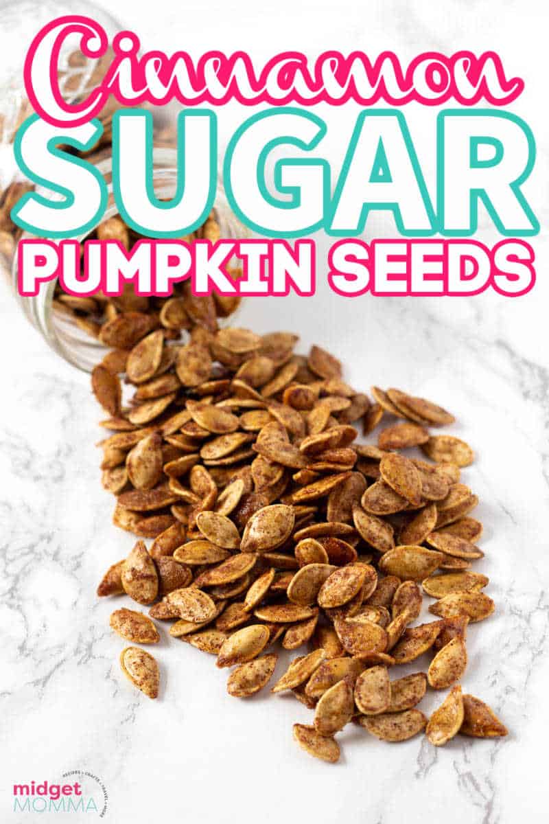 cinnamon sugar pumpkin seeds