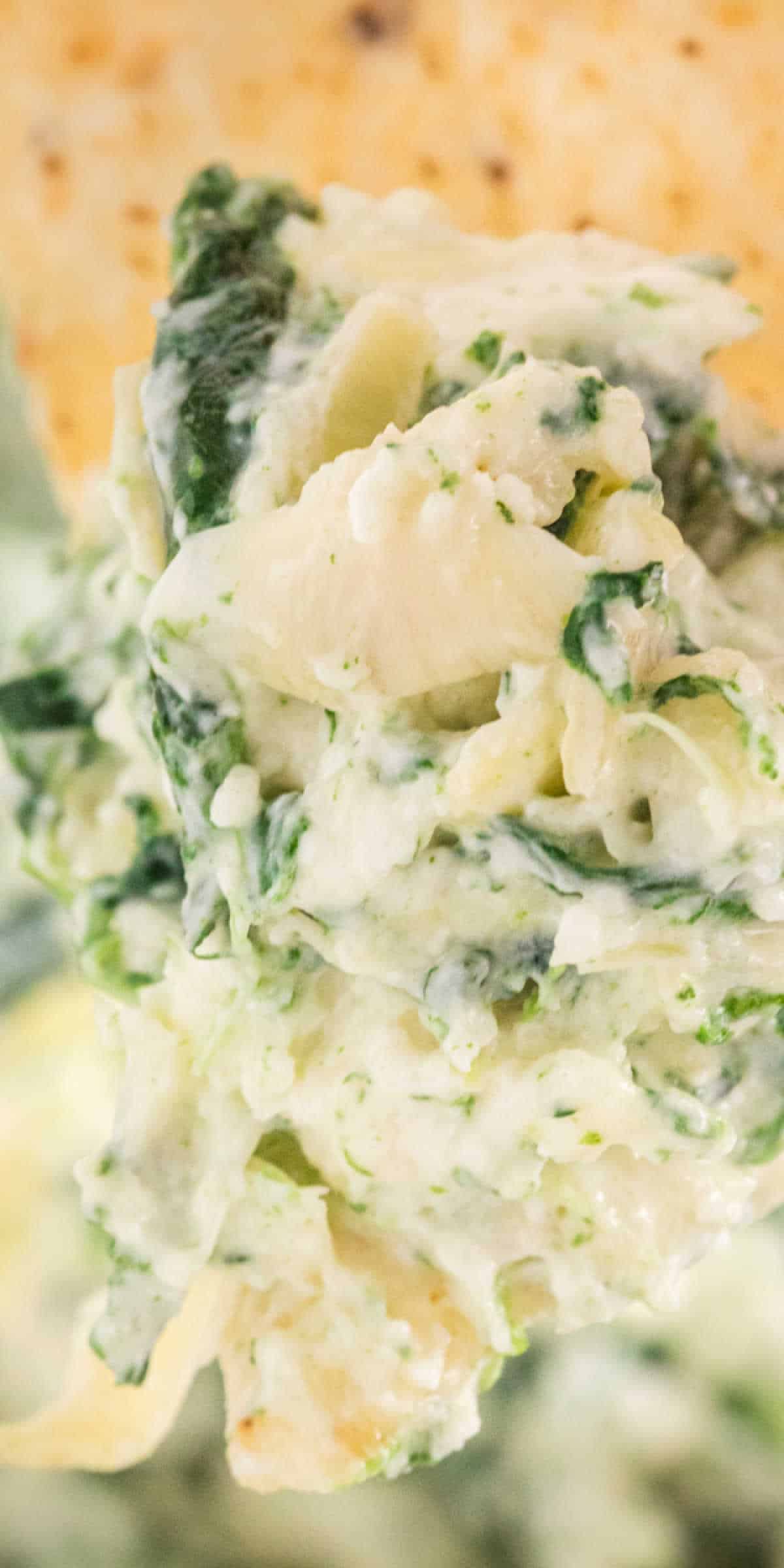 Creamy Cold Spinach Artichoke Dip Recipe