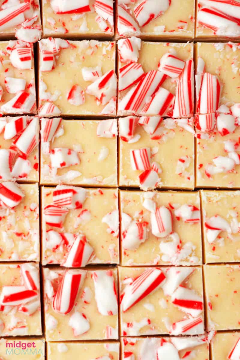 FATGUYFOODBLOG: White Chocolate Peppermint & Orange M&M's, a