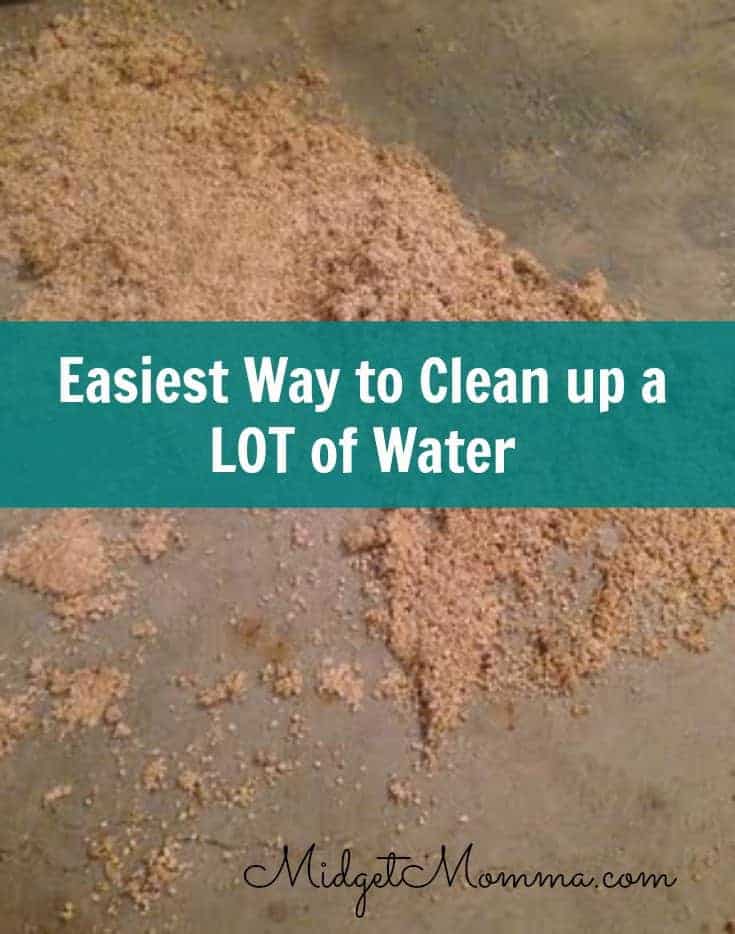 Easiest way to clean up water