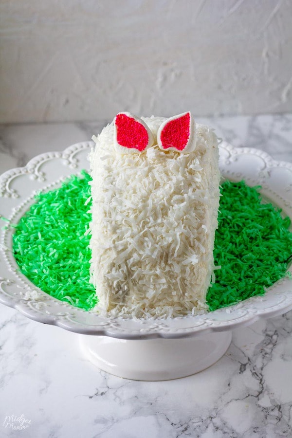 Easter Bunny Cake