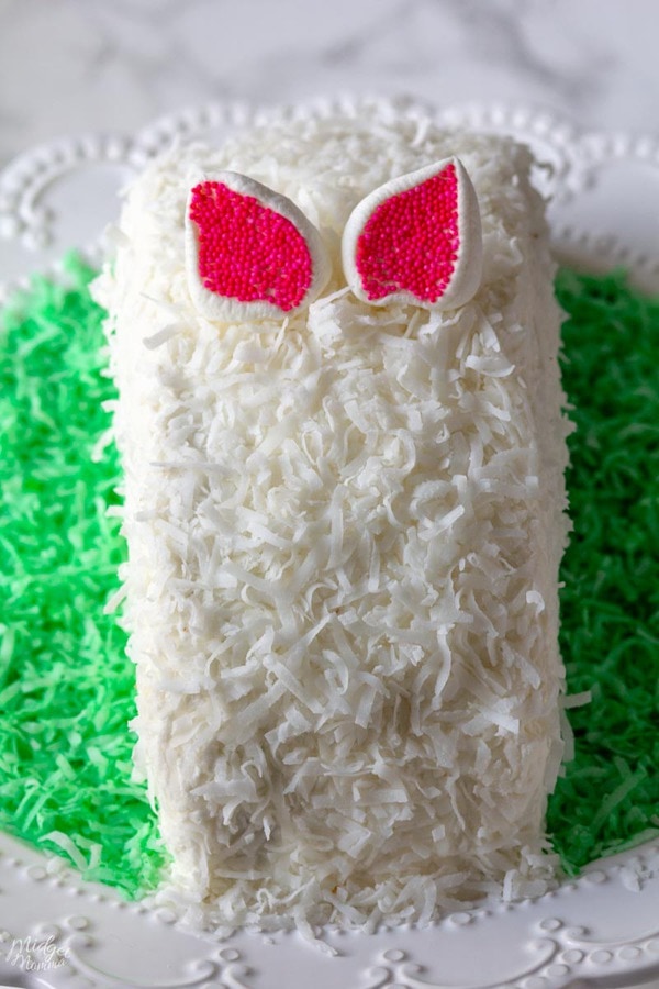 Easter Bunny Cake