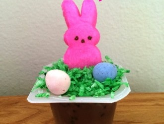 Bunnies In The Field pudding Cups will make any child smile. The coconut grass adds great flavor and texture to the pudding cup.