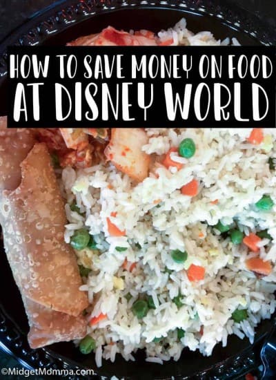 How to Save money on Food At Disney World