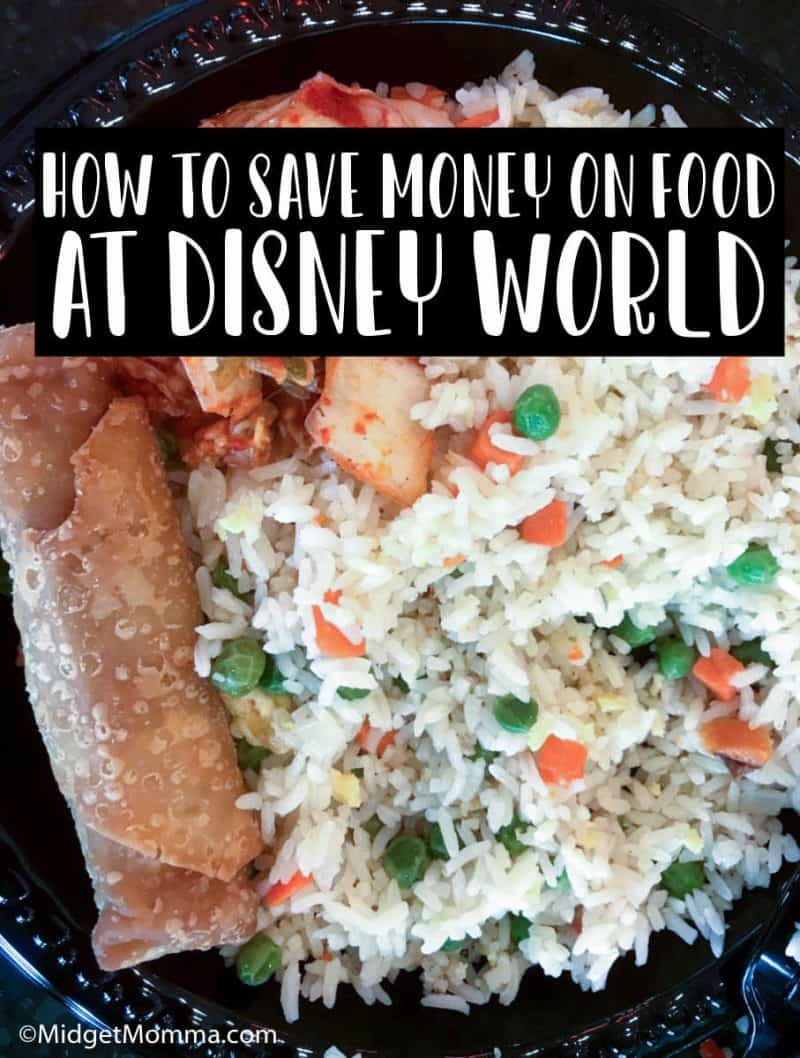 How to Save money on Food At Disney World