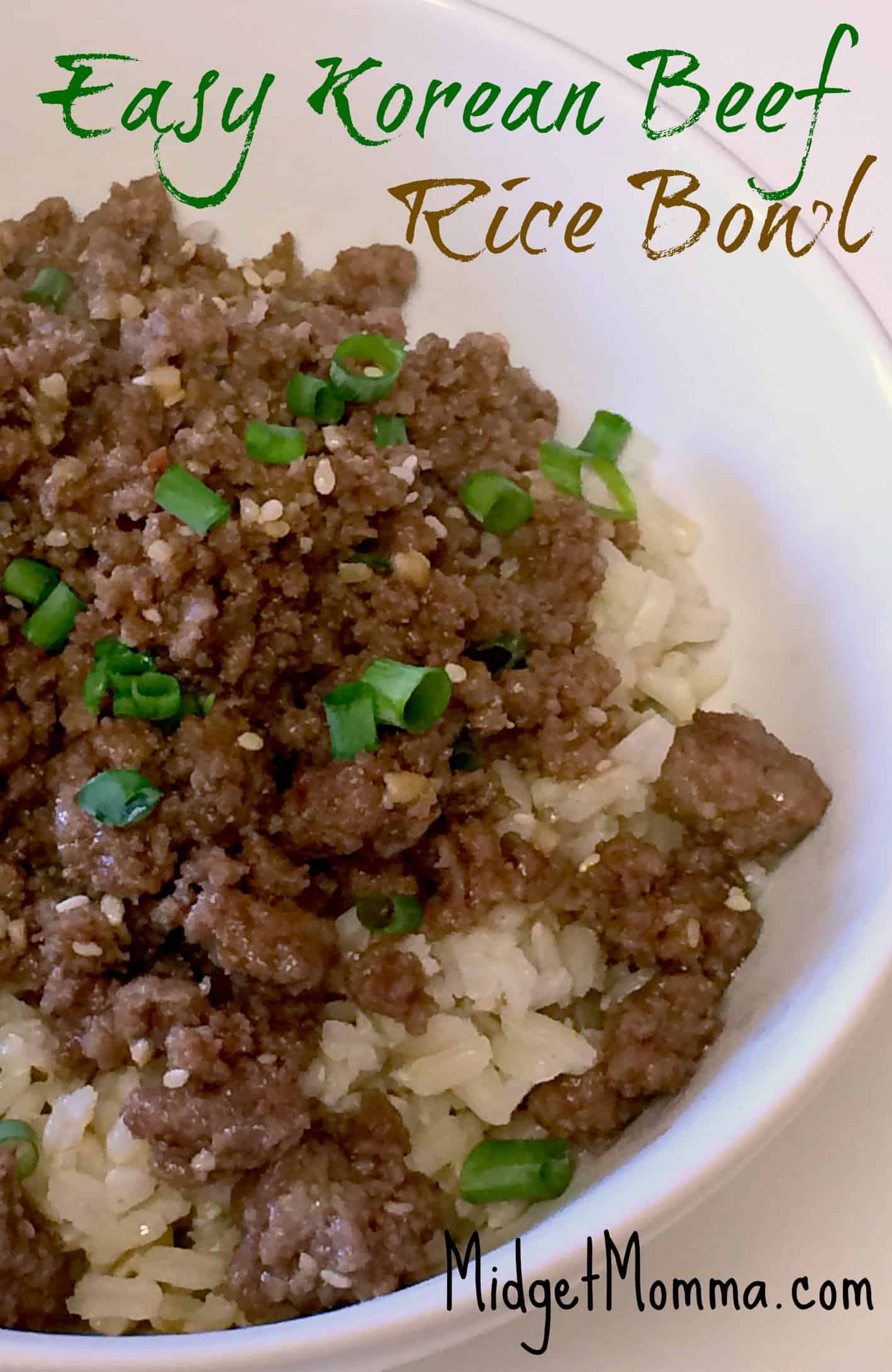 Quick and Easy Dinner Korean Beef Rice Bowl