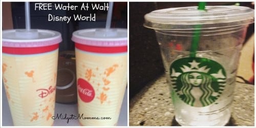 free water at walt disney world