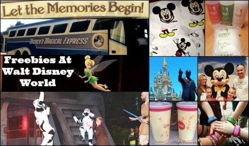 how to save money at disney world with the free souvenirs at disney world