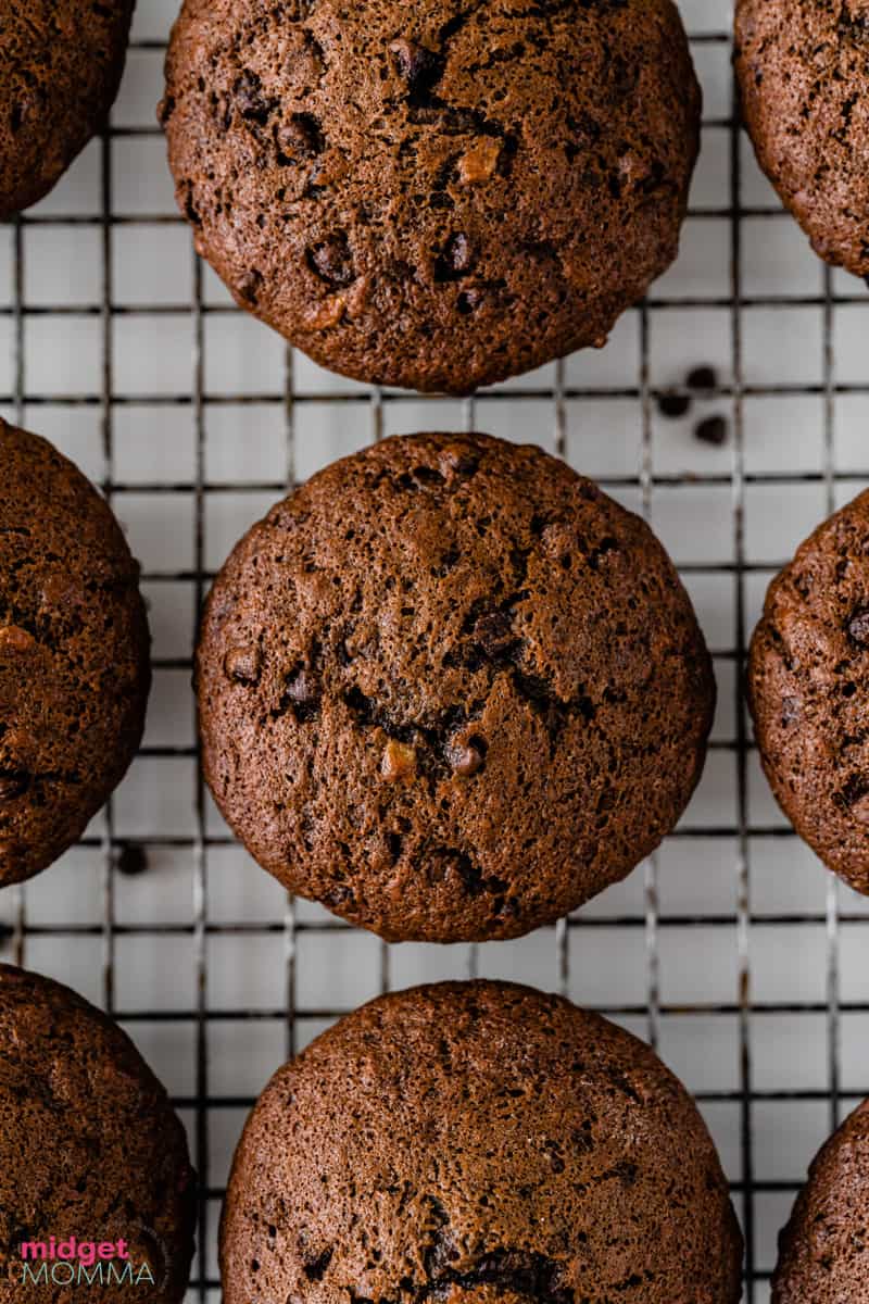 Banana Chocolate Chocolate Chip Muffin