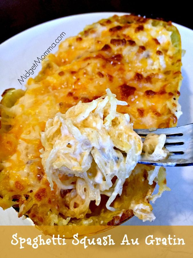 Chicken Enchilada Spaghetti Squash • MidgetMomma