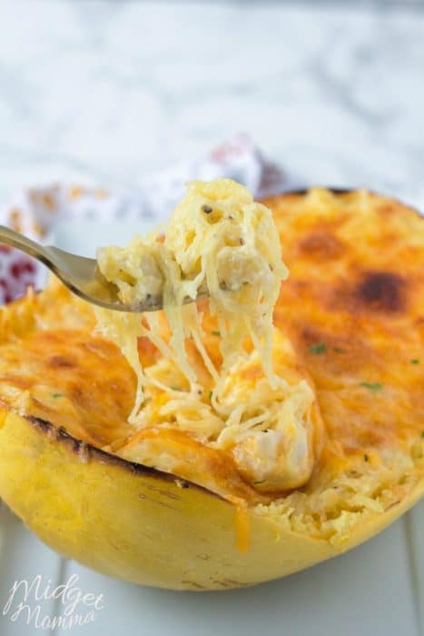 Spaghetti Squash Au Gratin. Easy to make meal that is filled with veggies. Spaghetti Squash Au Gratin is the perfect meal for anytime! This Low carb spaghetti Squash recipe tastes amazing and will be a total crowd pleaser!