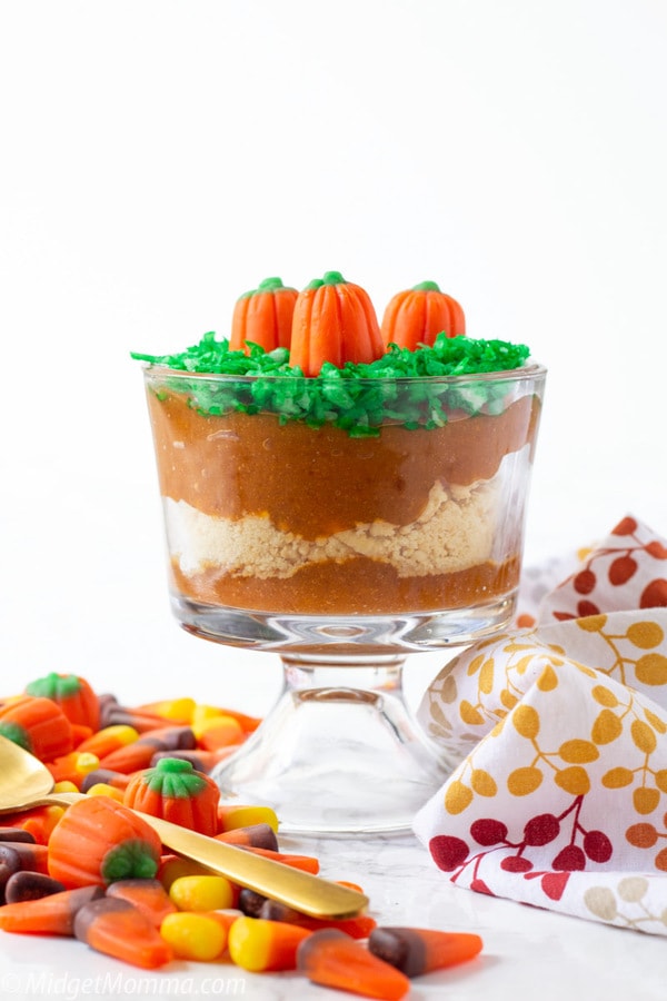 Pumpkin Patch Dirt Cups Pudding Parfaits