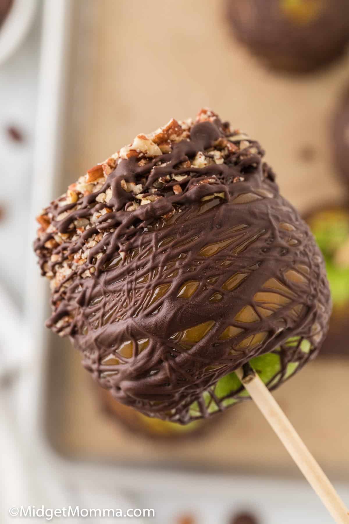 Turtle caramel apples