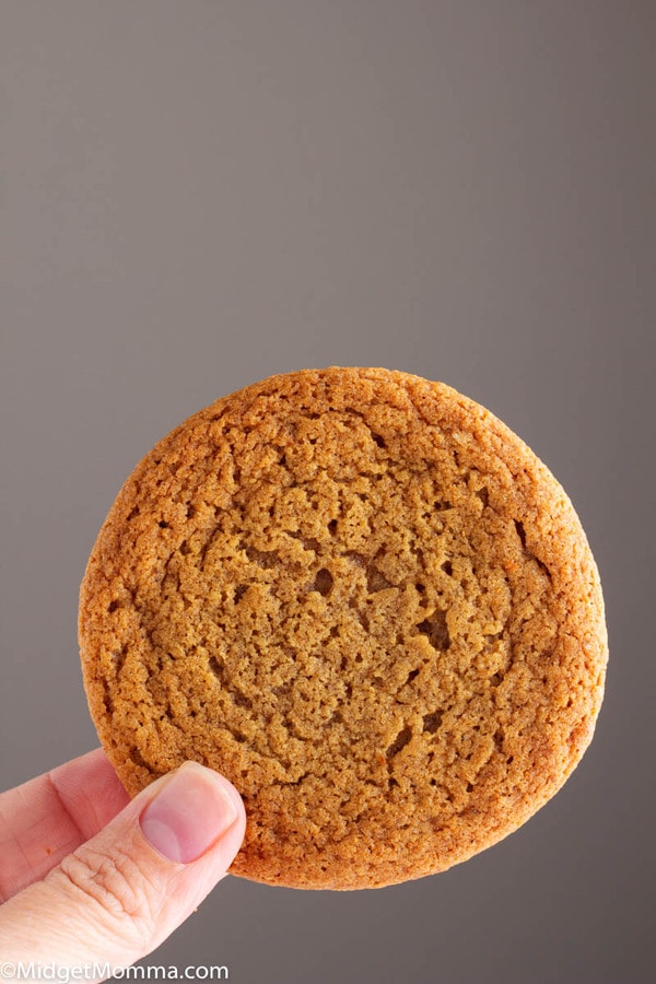 Ginger cookie being held in a hand with a bite out of it