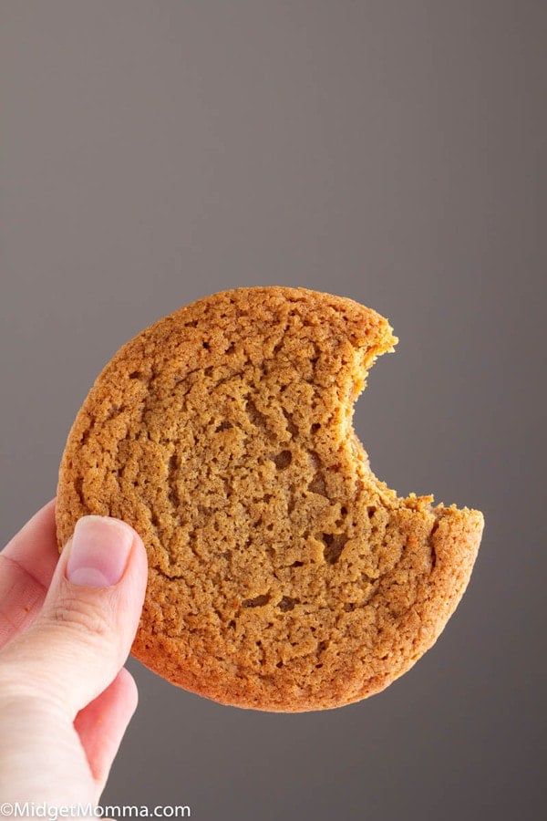 Ginger cookie being held in a hand with a bite out of it