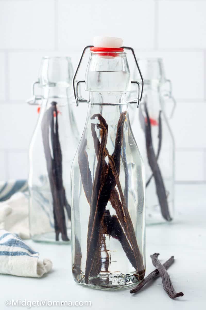 vodka in  a  jar with vanilla beans