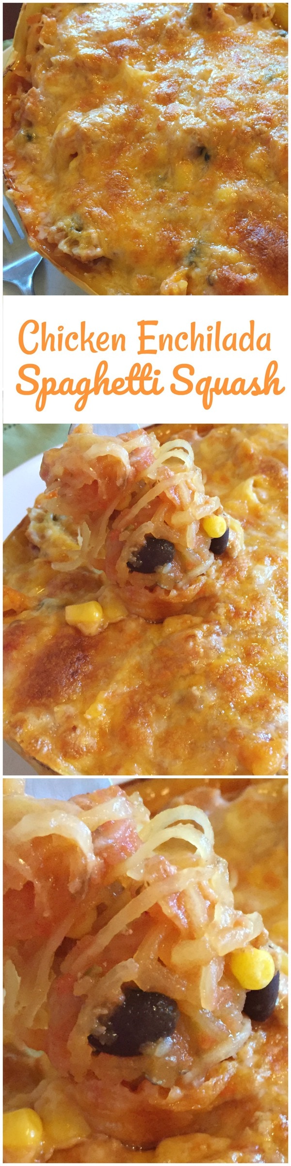 Chicken Enchilada Spaghetti Squash • MidgetMomma